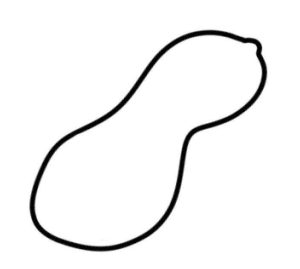 花生简笔画