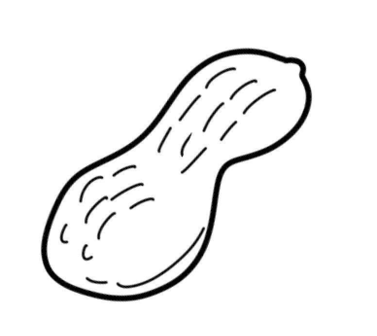 花生简笔画