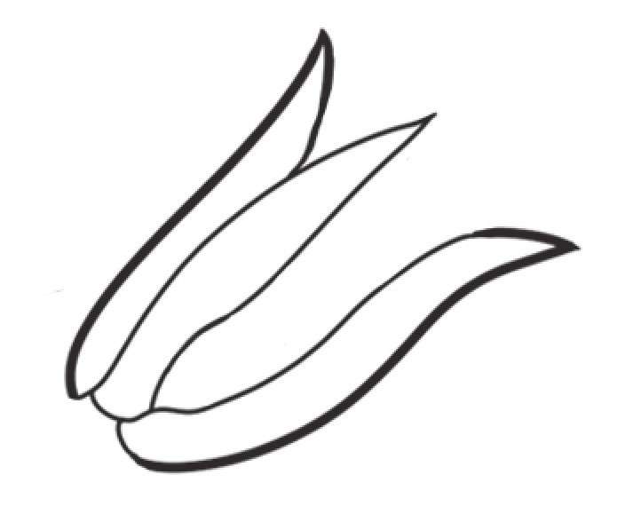 玉米简笔画