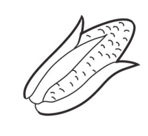 玉米简笔画