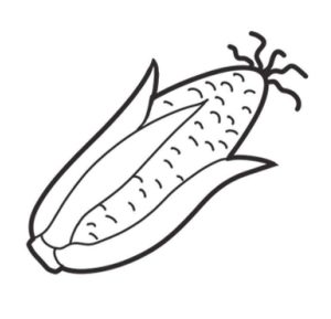 玉米简笔画