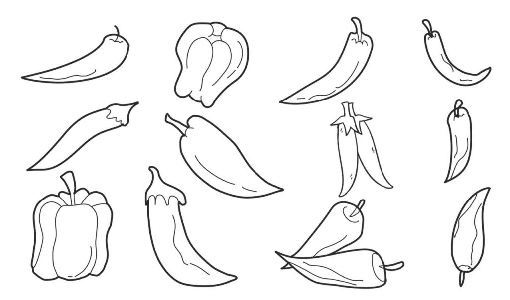 辣椒简笔画