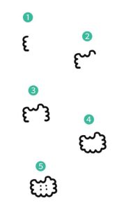 小仓鼠简笔画