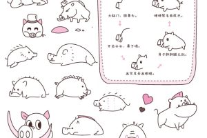野猪简笔画画