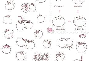 番茄简笔画