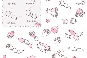 莲藕简笔画
