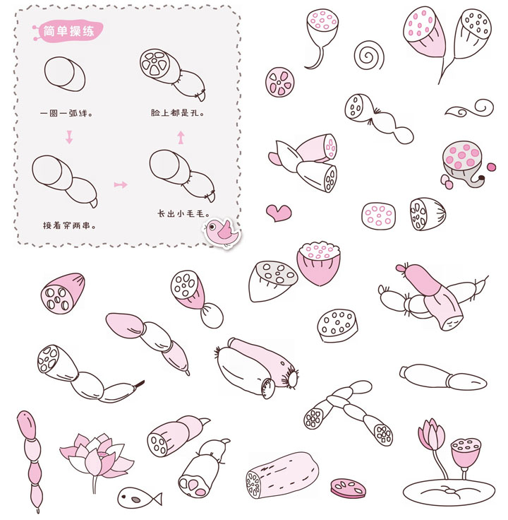 莲藕简笔画