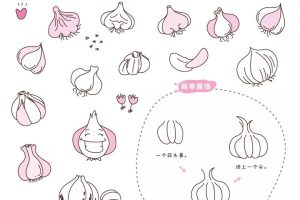 大蒜简笔画