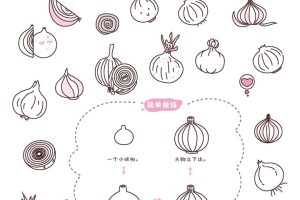 洋葱简笔画