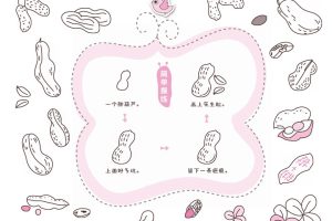 花生简笔画