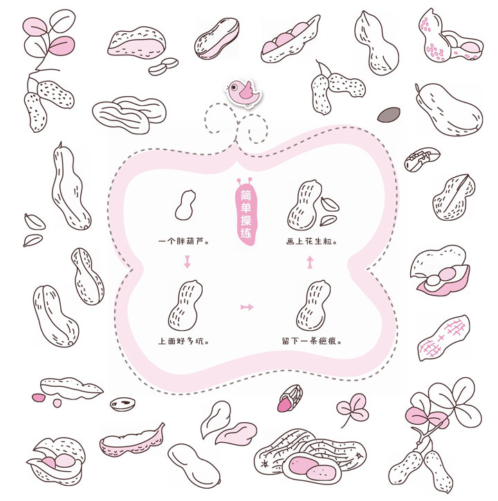 花生简笔画