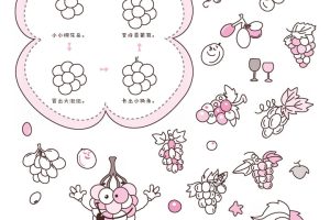 葡萄简笔画