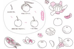 橘子简笔画