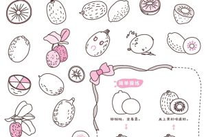 猕猴桃简笔画