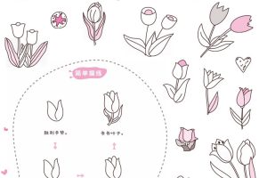 郁金香简笔画