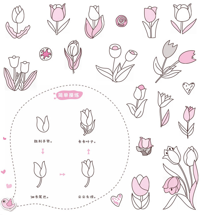 郁金香简笔画