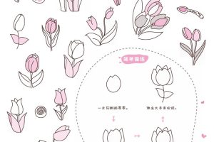 郁金香简笔画