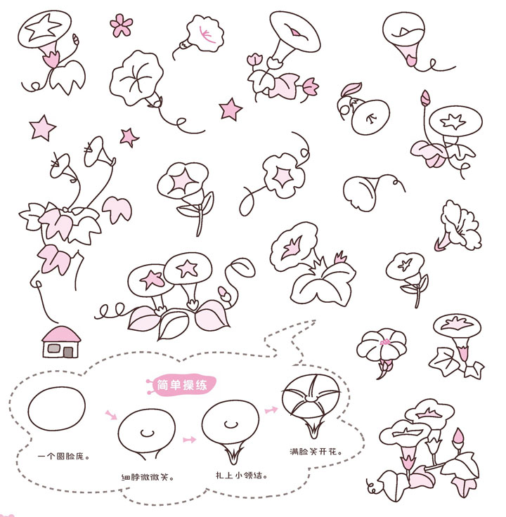 牵牛花简笔画