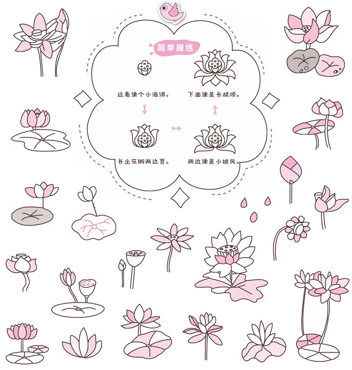荷花简笔画