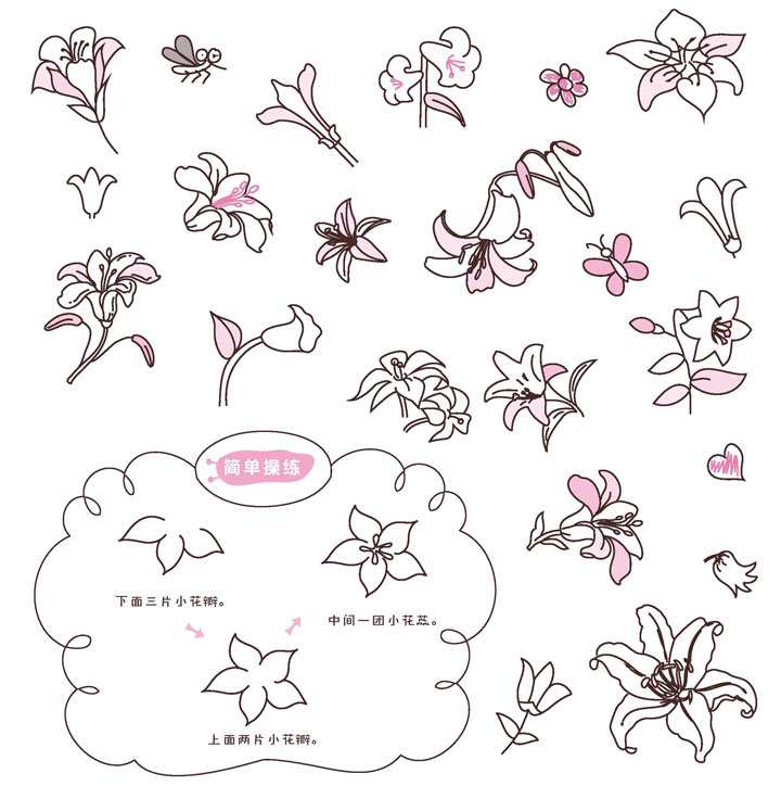 百合花简笔画