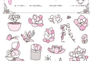 多肉植物简笔画