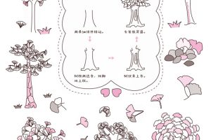银杏树简笔画