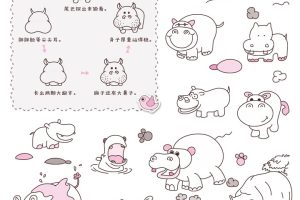 河马简笔画