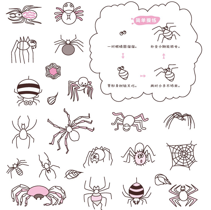 蜘蛛简笔画