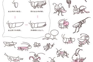 蚂蚱简笔画