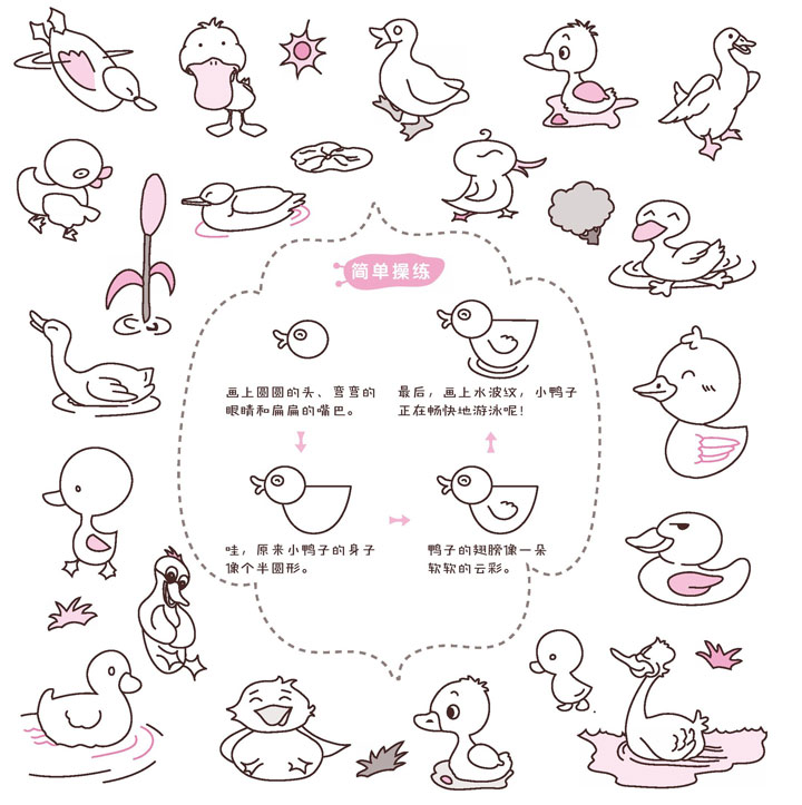 鸭子简笔画