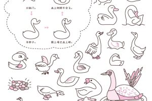 大鹅简笔画