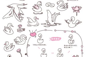 天鹅简笔画