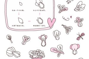 油菜简笔画