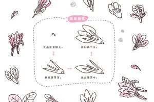 菠菜简笔画