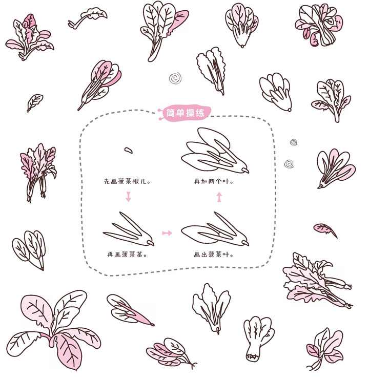 菠菜简笔画