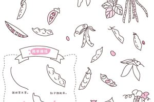 豆角简笔画