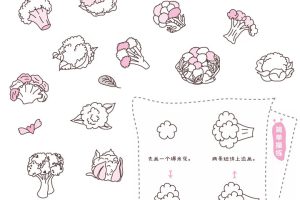 花菜简笔画