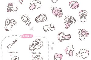 白菜简笔画