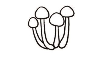 金针菇简笔画