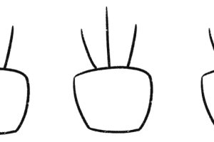 盆栽简笔画