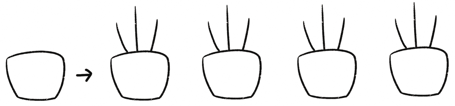 盆栽简笔画