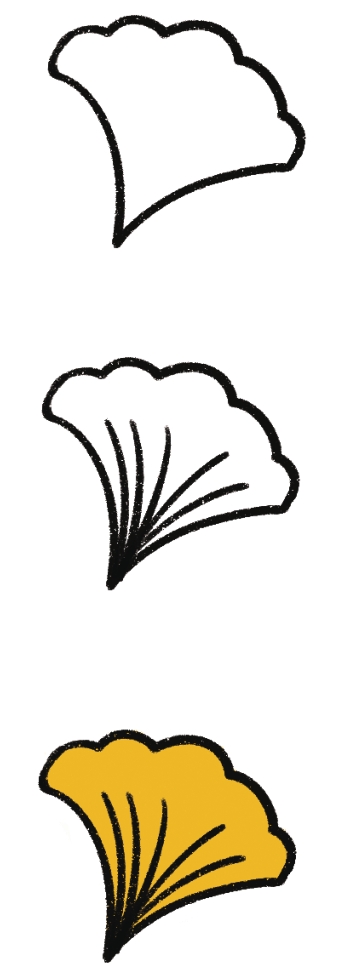 银杏叶简笔画