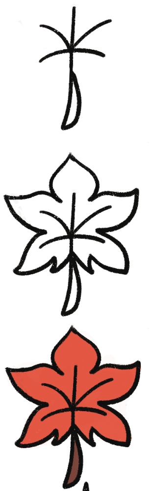 枫叶简笔画
