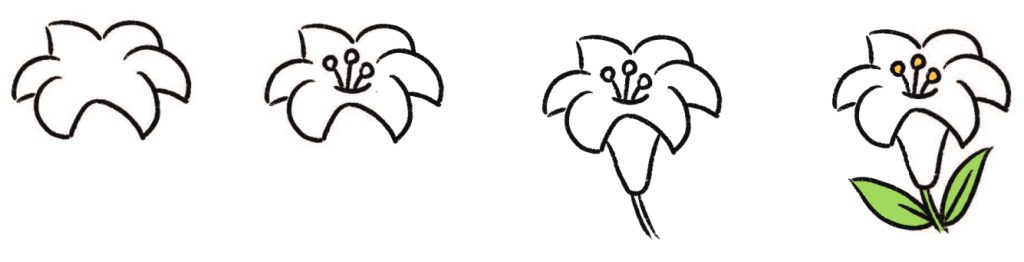 百合简笔画