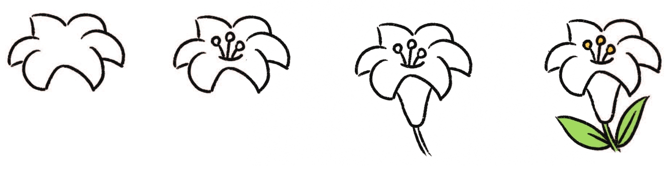 百合简笔画