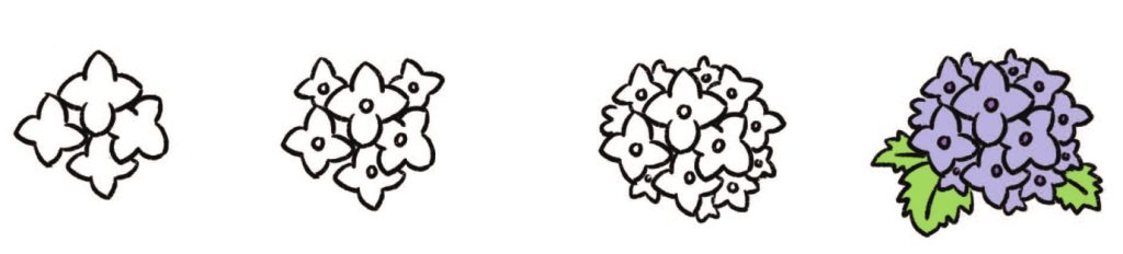 绣球花简笔画