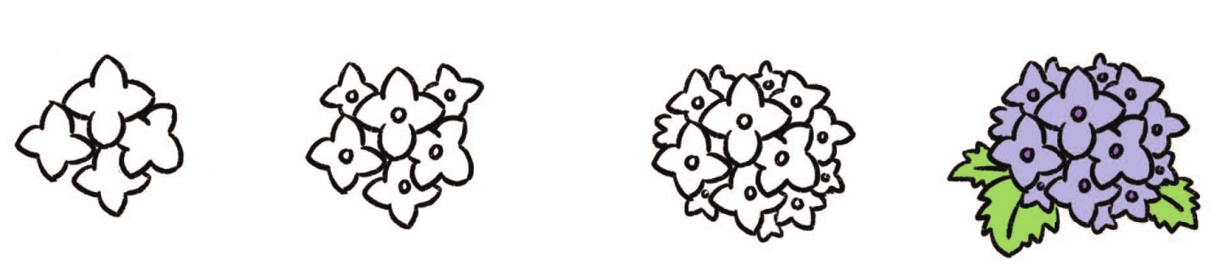 绣球花简笔画