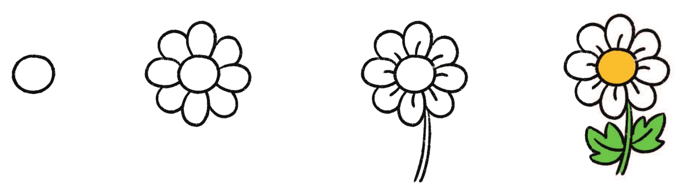 小雏菊