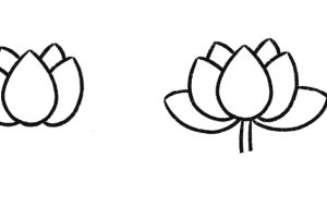 荷花简笔画