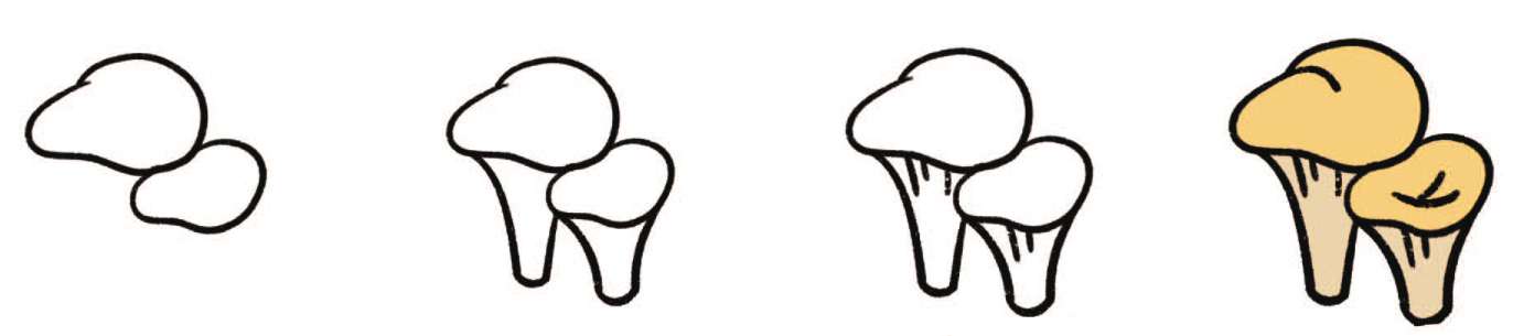 平菇简笔画
